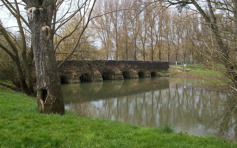 Montbizot