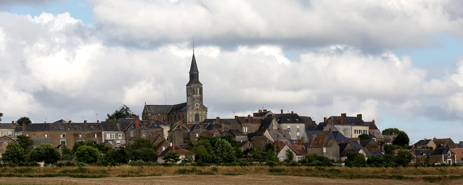 Vue de Saint-Denis-d'Orques, Sarthe