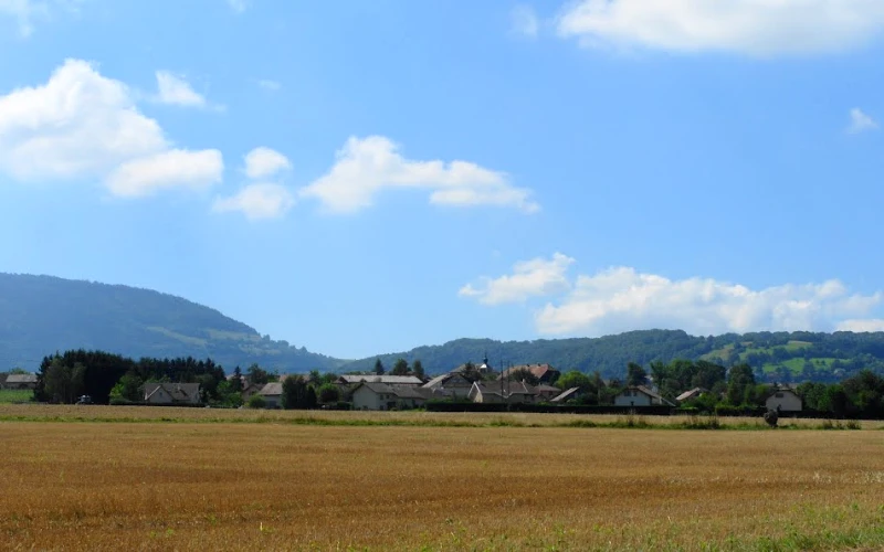 Feigères