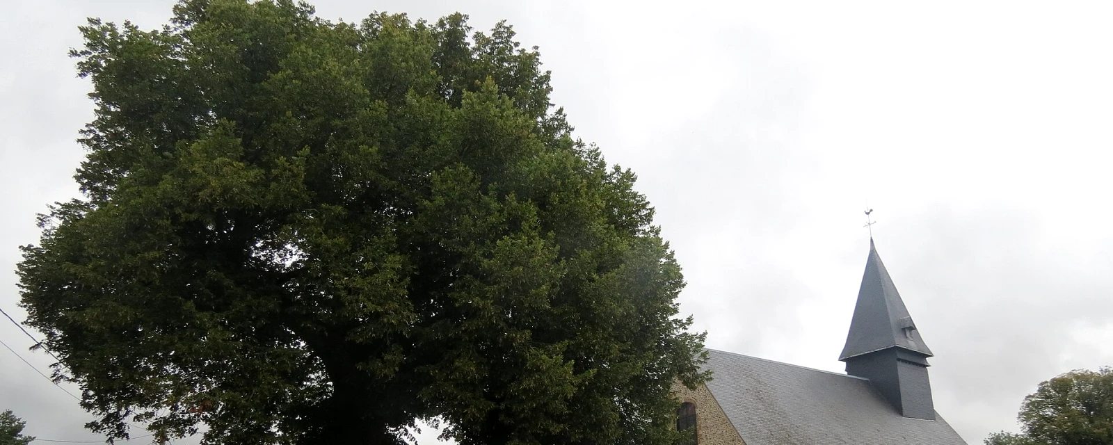 Vue de Mesnil-Raoul, Seine-Maritime