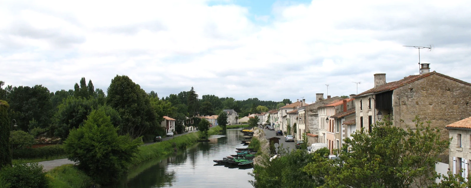 Vue de Coulon, Deux-Sèvres