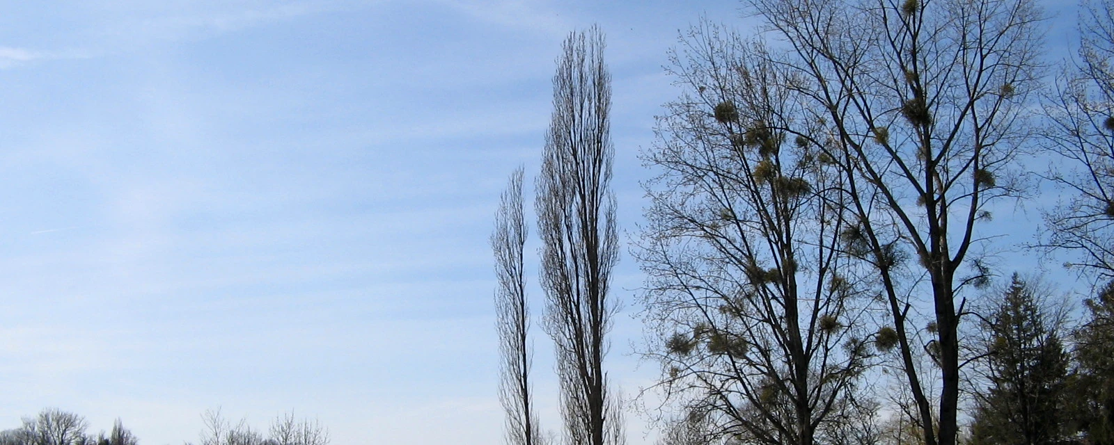 Vue de Verruyes, Deux-Sèvres