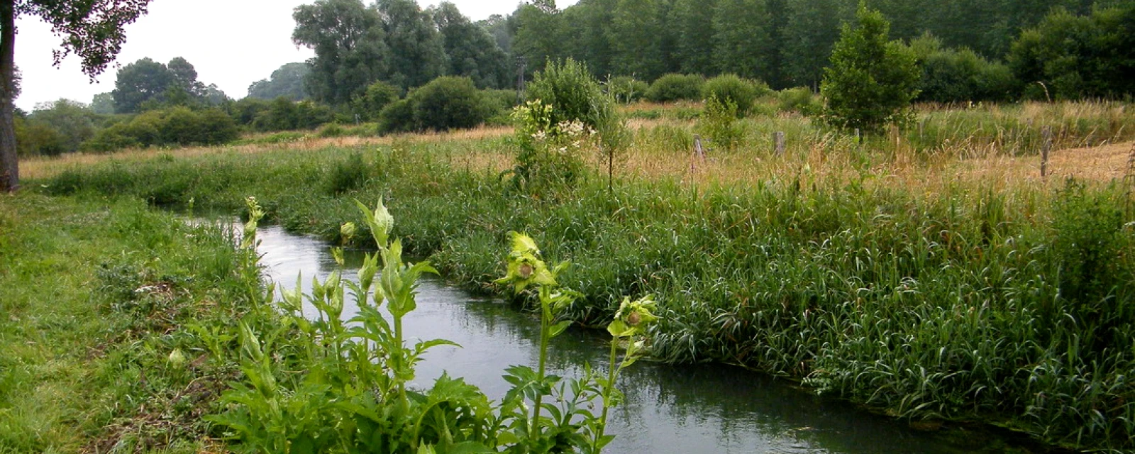 Vue de Cahon, Somme