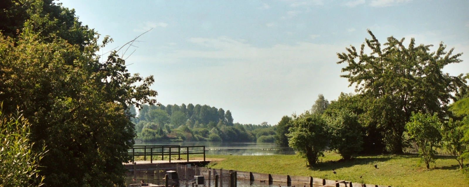 Vue de Falvy, Somme