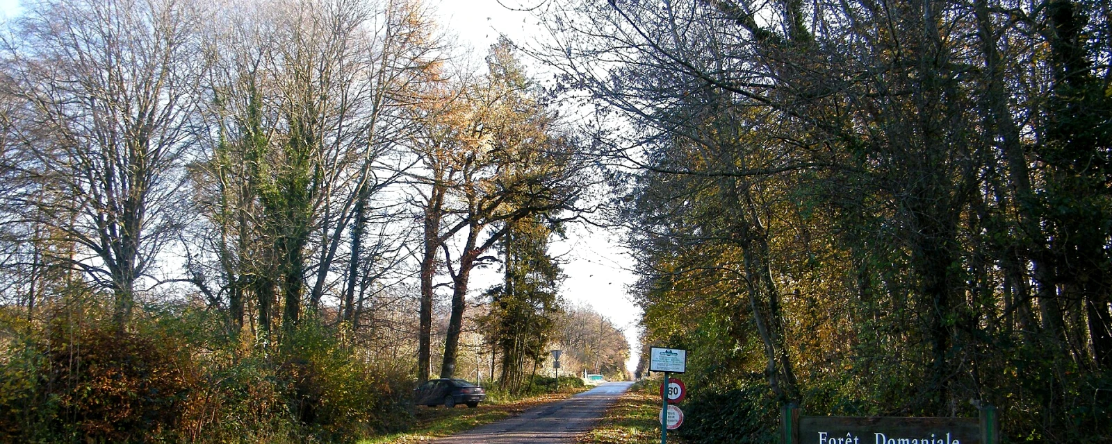 Vue de Forest-Montiers, Somme