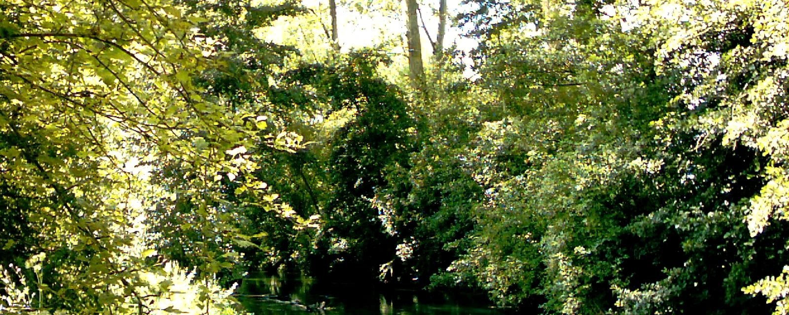Vue de Frohen-sur-Authie, Somme