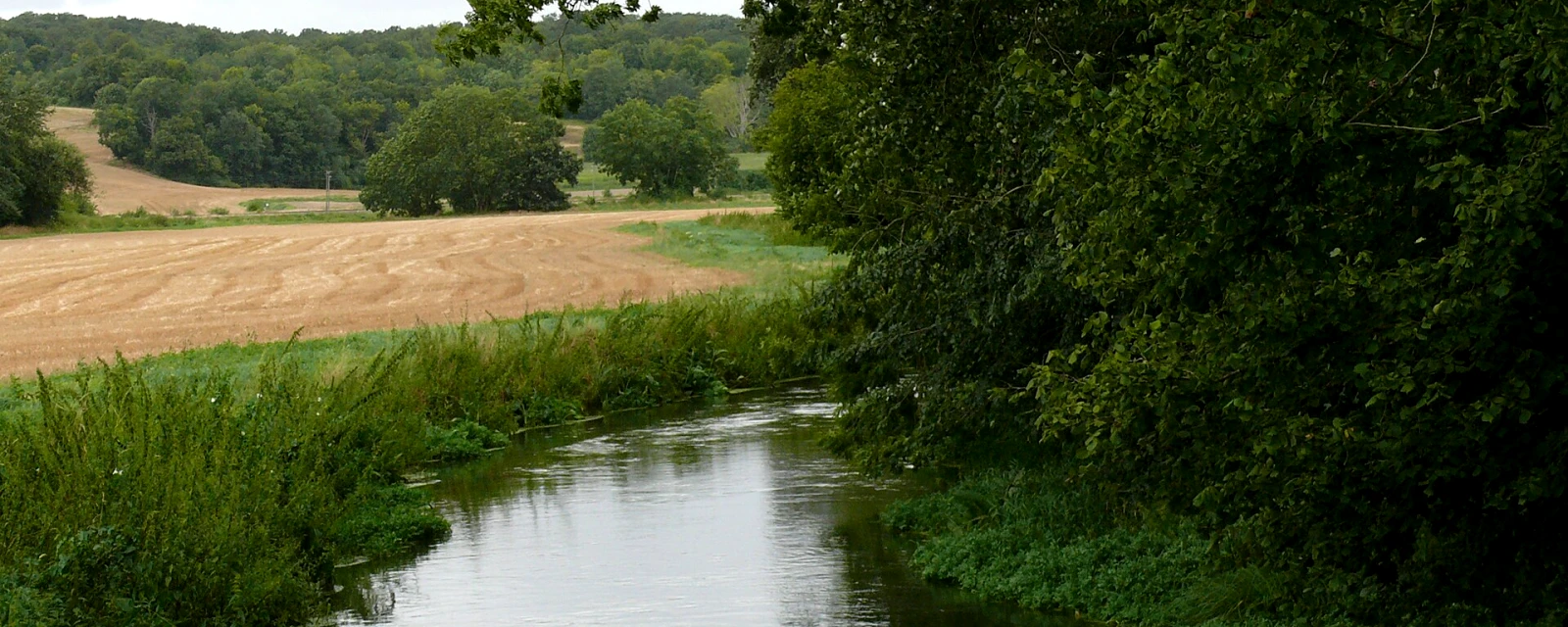 Vue de La Neuville-Sire-Bernard, Somme