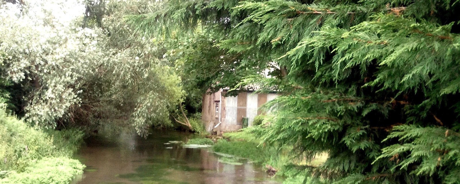Vue de Saint-Aubin-Rivière, Somme