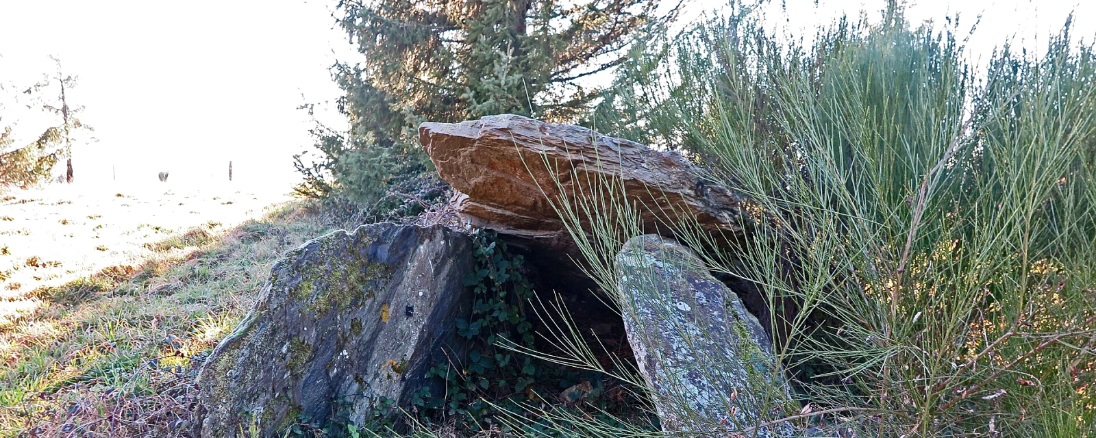 Vue de Crespin, Tarn