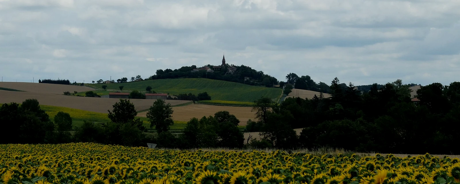 Vue de Teyssode, Tarn