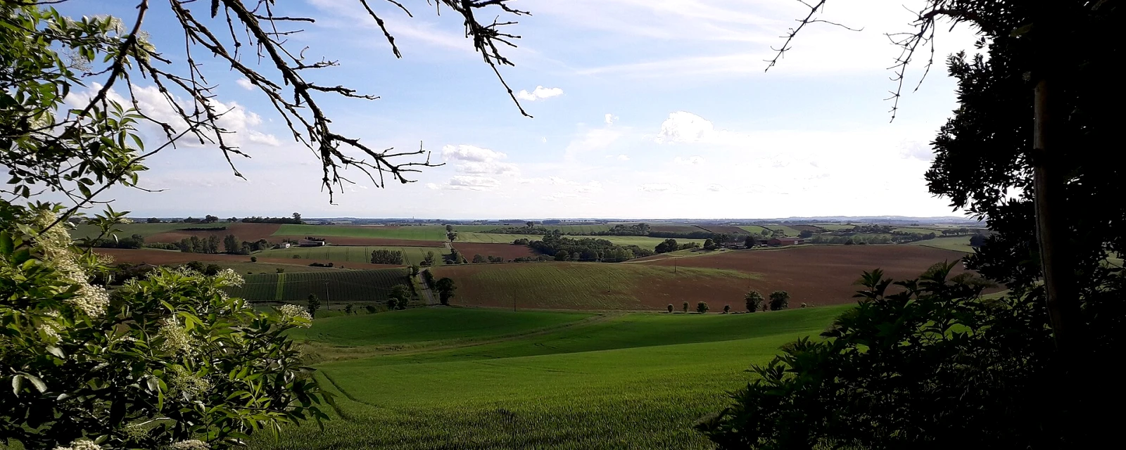 Vue de Le Causé, Tarn-et-Garonne