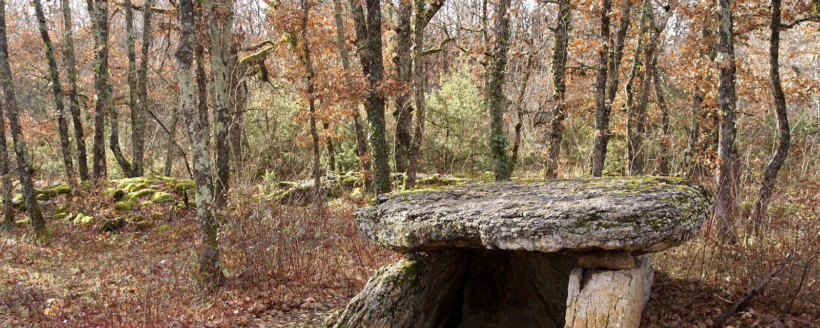 Vue de Septfonds, Tarn-et-Garonne