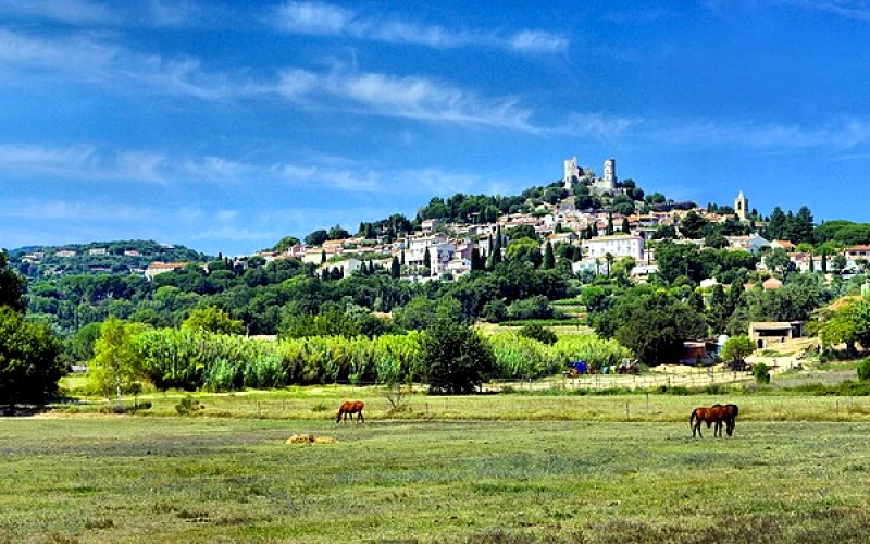 Grimaud