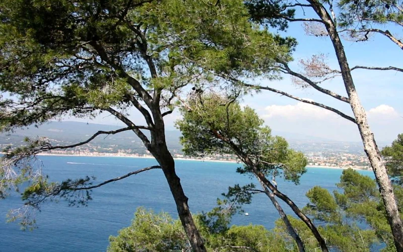 Saint-Cyr-sur-Mer