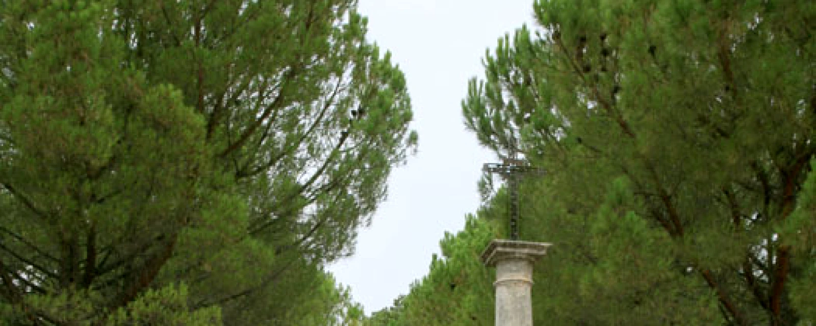 Vue de Saint-Hippolyte-le-Graveyron, Vaucluse