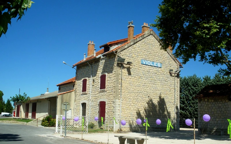 Violès