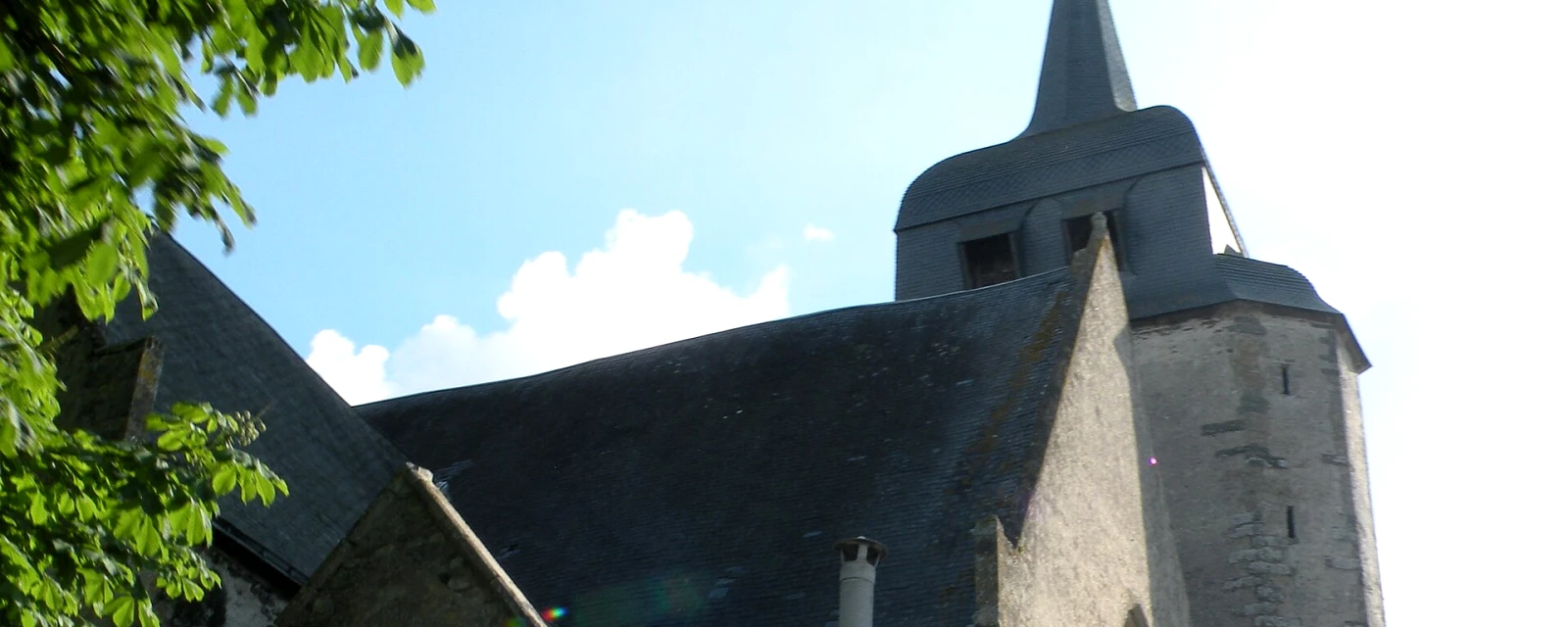 Vue de Bois-de-Céné, Vendée