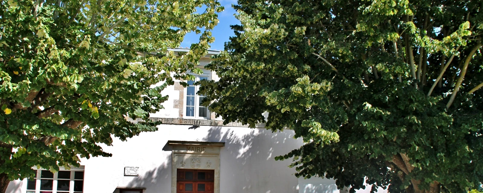 Vue de Chaillé-les-Marais, Vendée