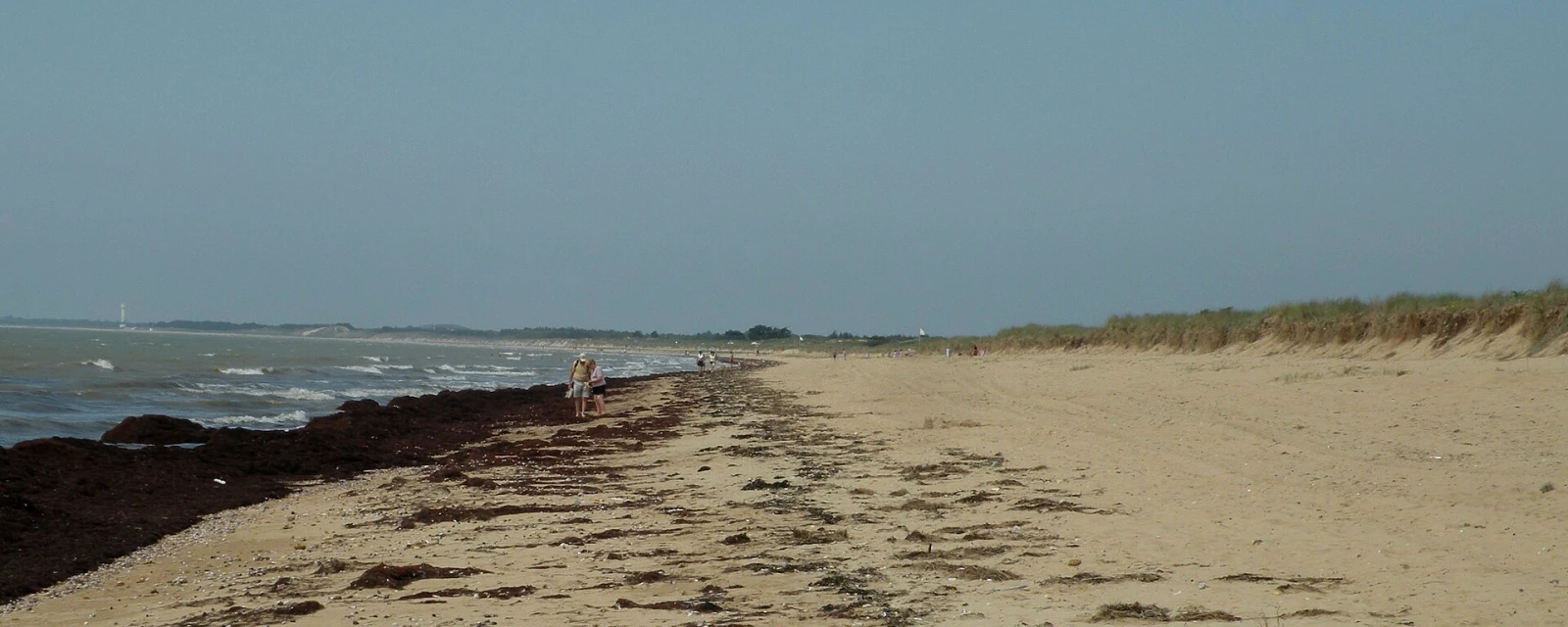 Vue de Notre-Dame-de-Monts, Vendée