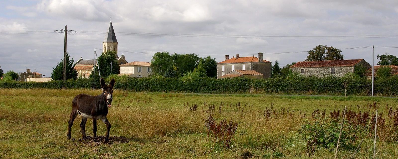 Vue de Saint-Pierre-le-Vieux, Vendée
