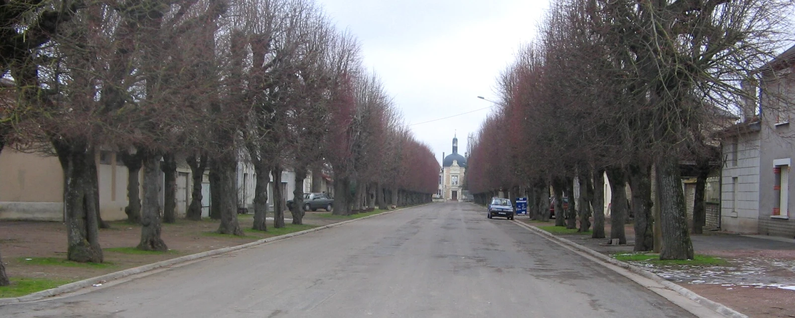 Vue de Angliers, Vienne