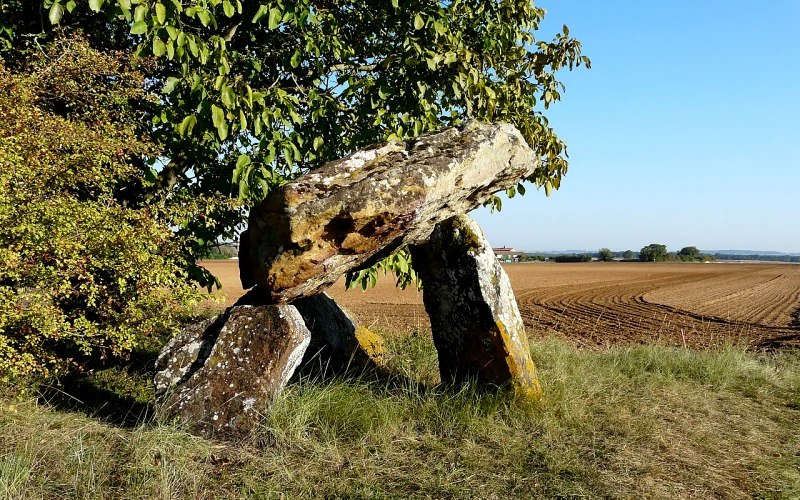 Champigny en Rochereau
