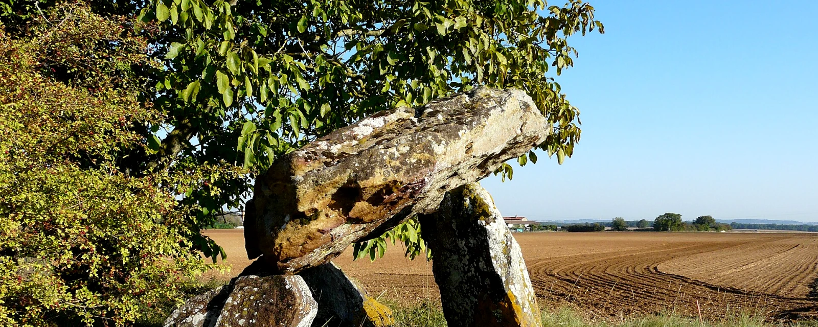Vue de Champigny en Rochereau, Vienne