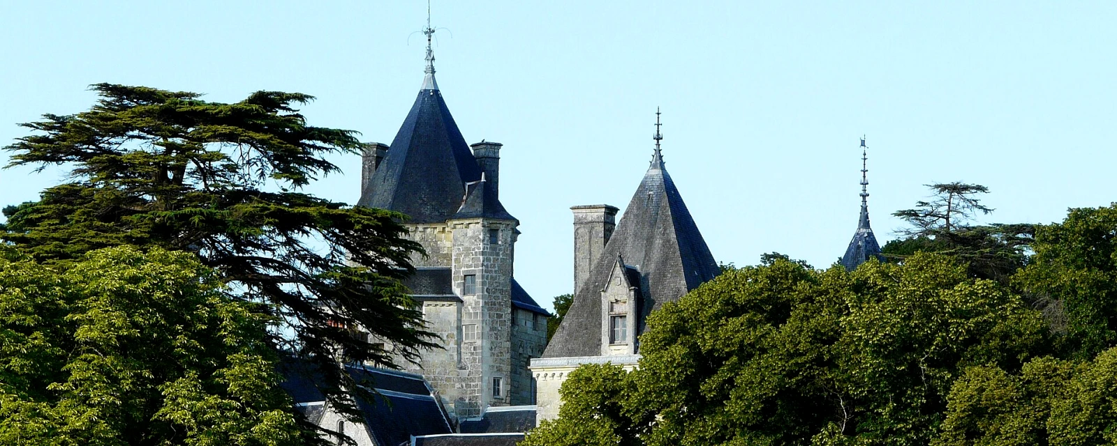 Vue de Ternay, Vienne