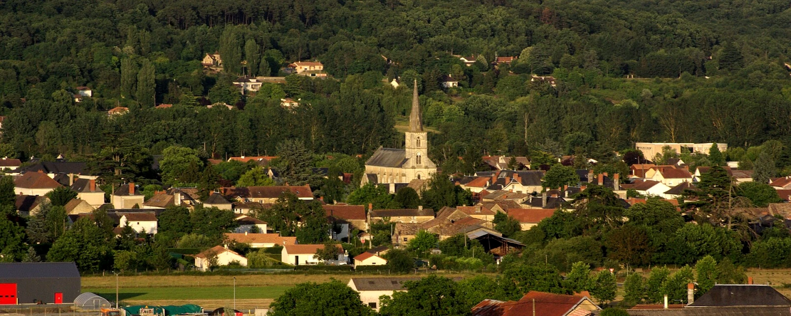 Vue de Vouneuil-sur-Vienne, Vienne