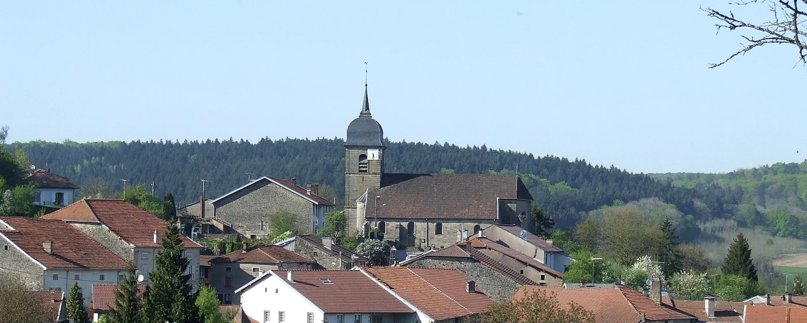 Vue de Bleurville, Vosges