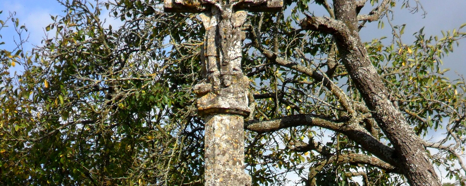 Vue de Courcelles-sous-Châtenois, Vosges