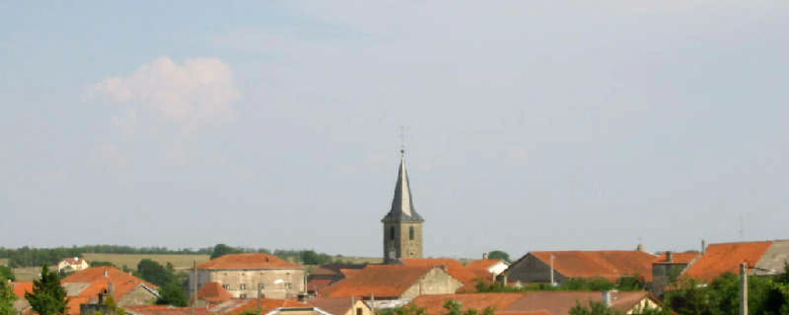 Vue de Dombrot-le-Sec, Vosges