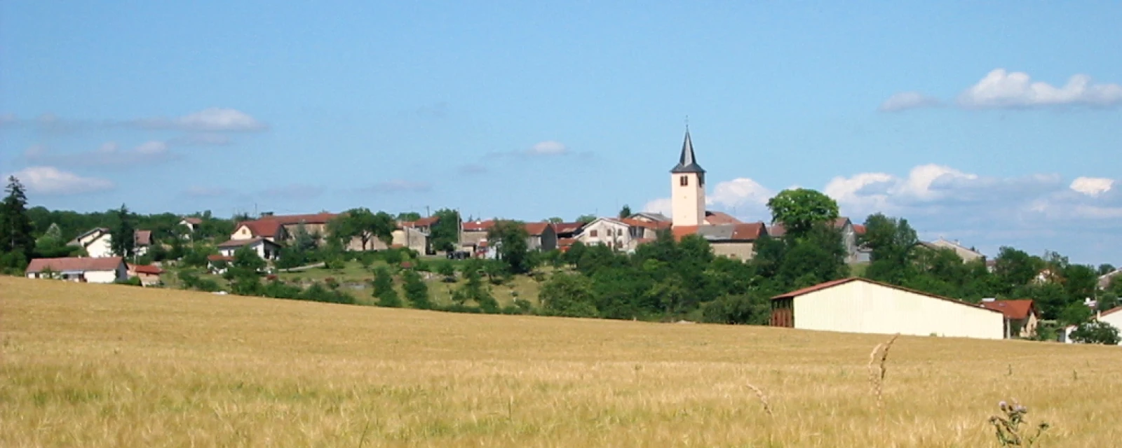 Vue de Fauconcourt, Vosges