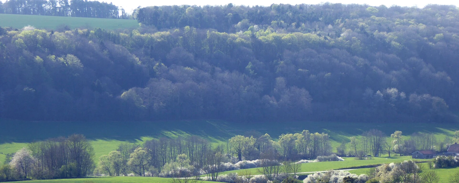 Vue de Landaville, Vosges