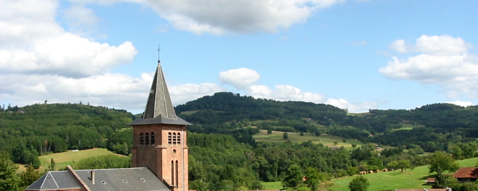 Vue de Mandray, Vosges