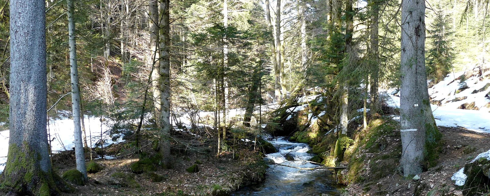 Vue de Moussey, Vosges