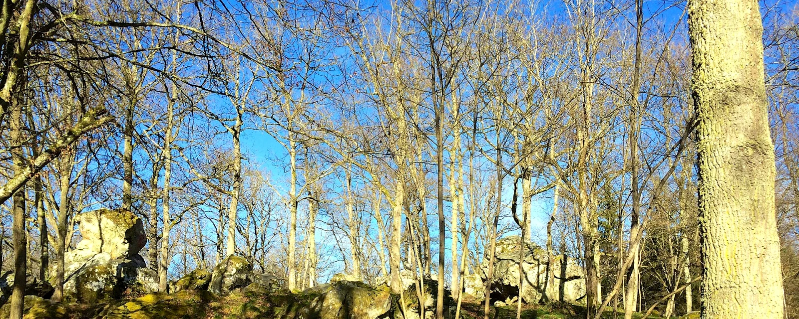 Vue de Les Bordes, Yonne
