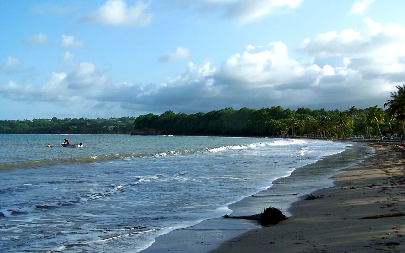 Goyave
