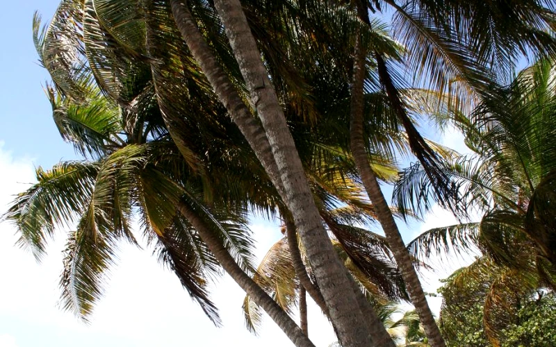 Sainte-Anne