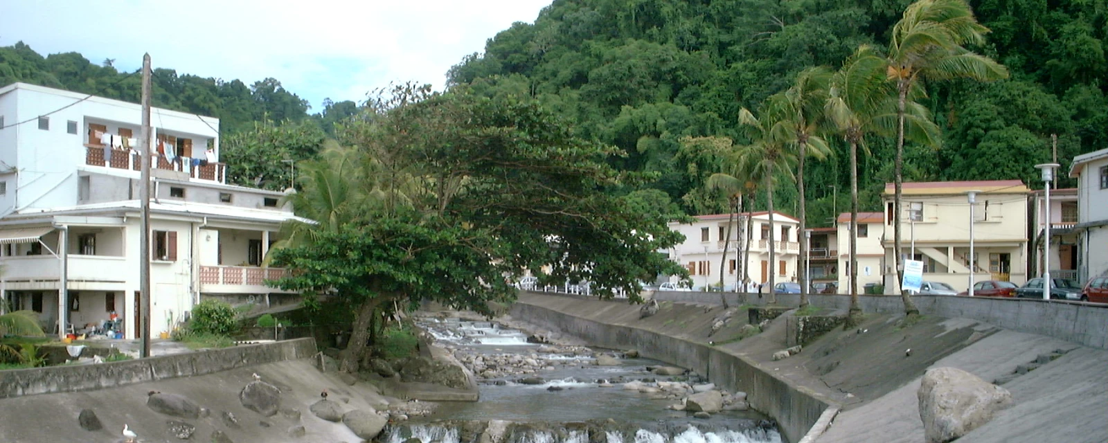 Vue de Grand'Rivière, Martinique