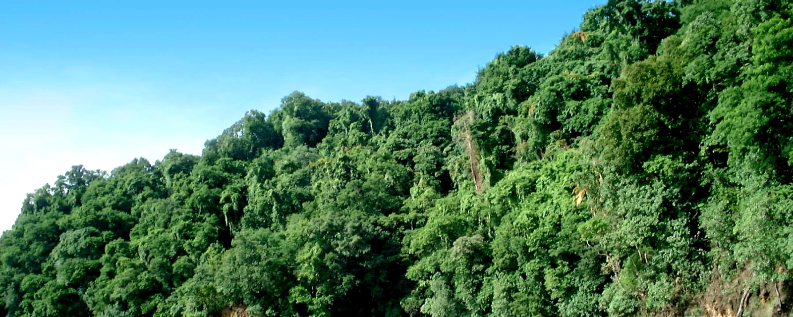 Vue de Le Prêcheur, Martinique