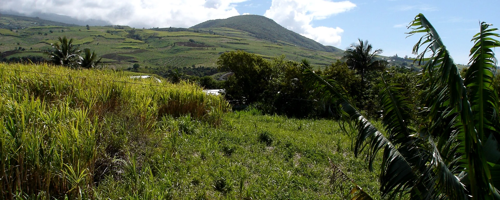 Vue de Saint-Joseph, La Réunion