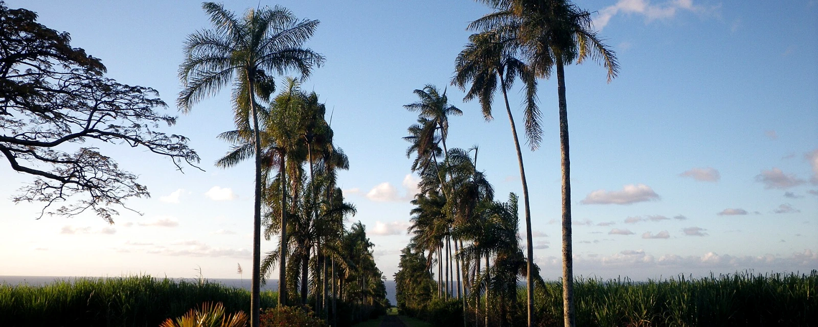 Vue de Sainte-Suzanne, La Réunion
